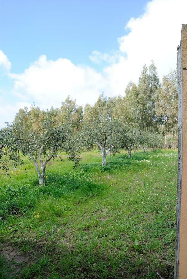 Tra Mare E Monti Apartment Santa Giusta Exterior photo