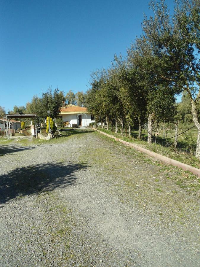 Tra Mare E Monti Apartment Santa Giusta Exterior photo